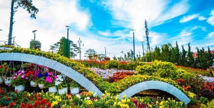 ĐÓN LỄ HỘI HOA ĐÀ LẠT 2025: TRẢI NGHIỆM SANG CHẢNH CÙNG LẠC HỒNG LIMOUSINE