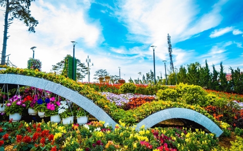 ĐÓN LỄ HỘI HOA ĐÀ LẠT 2025: TRẢI NGHIỆM SANG CHẢNH CÙNG LẠC HỒNG LIMOUSINE